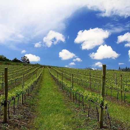 Quinta Dos Capuchos Casa Da Adega Villa Alcobaca Ngoại thất bức ảnh